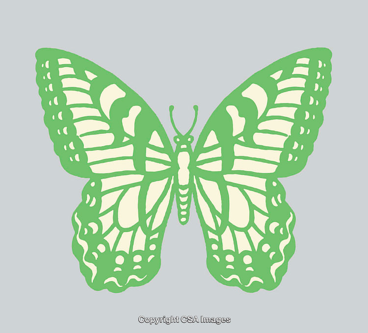 Green Butterfly Line Art Illustration on a Gray Background