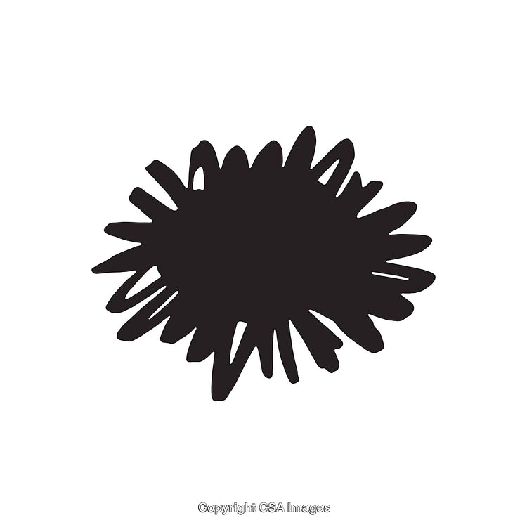 Abstract Black Shape Resembling a Scribble on a White Background