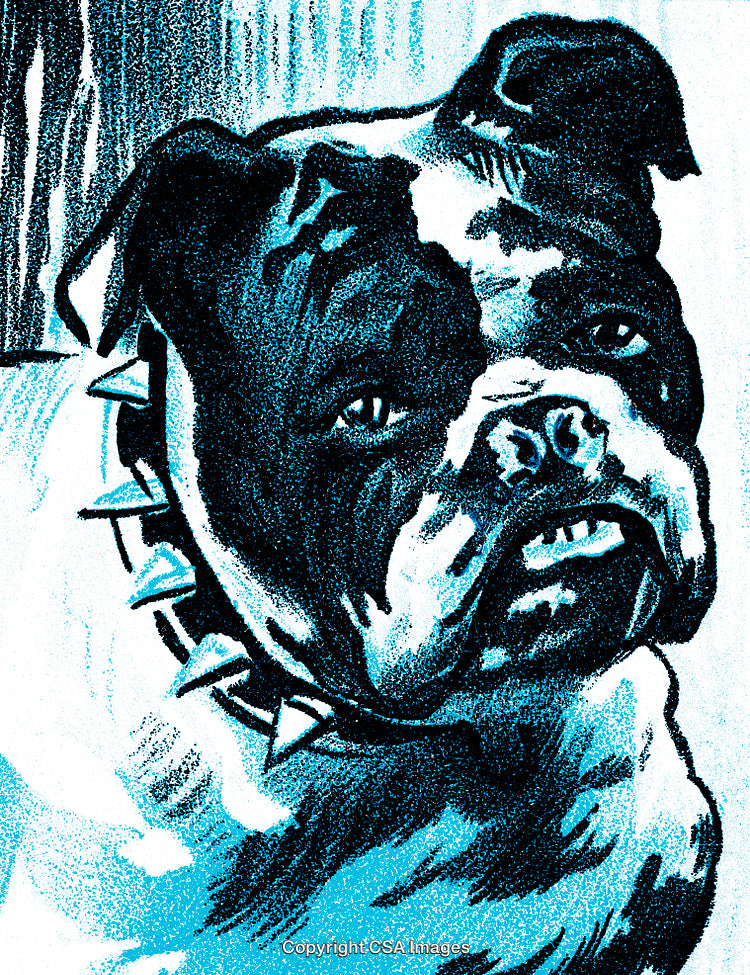 Illustration of a Bulldog With a Spiked Collar and Blue Tones