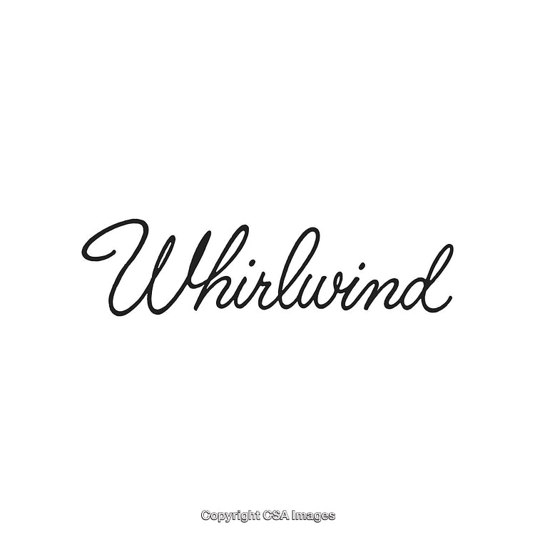 Elegant Scripted Calligraphy Featuring the Word Whirlwind on a White Background