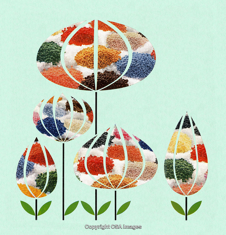Colorful Abstract Floral Design Featuring Bright Patterns of Circular Shapes