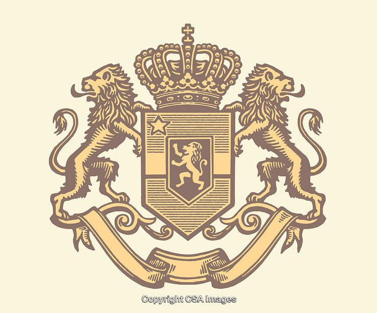 Elegant Heraldic Coat of Arms Featuring Crown and Rampant Lions in Line Art Style