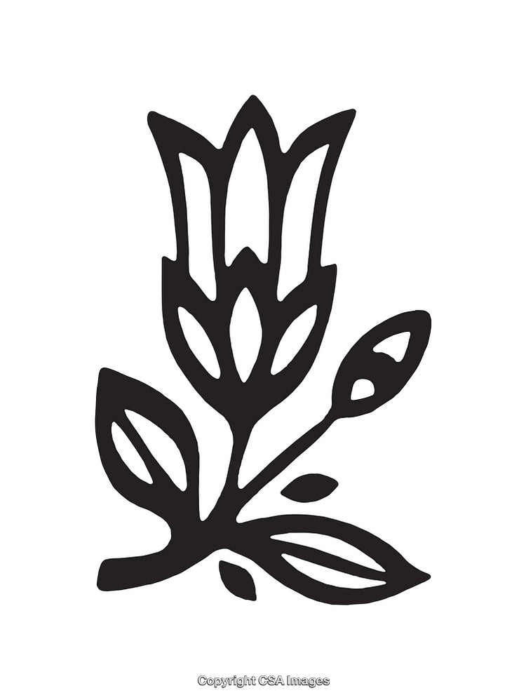 Elegant Black and White Floral Illustration with Detailed Line Art