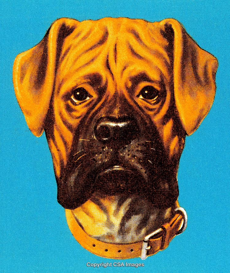 Retro Styled Illustration of a Brown Boxer Dog on Blue Background