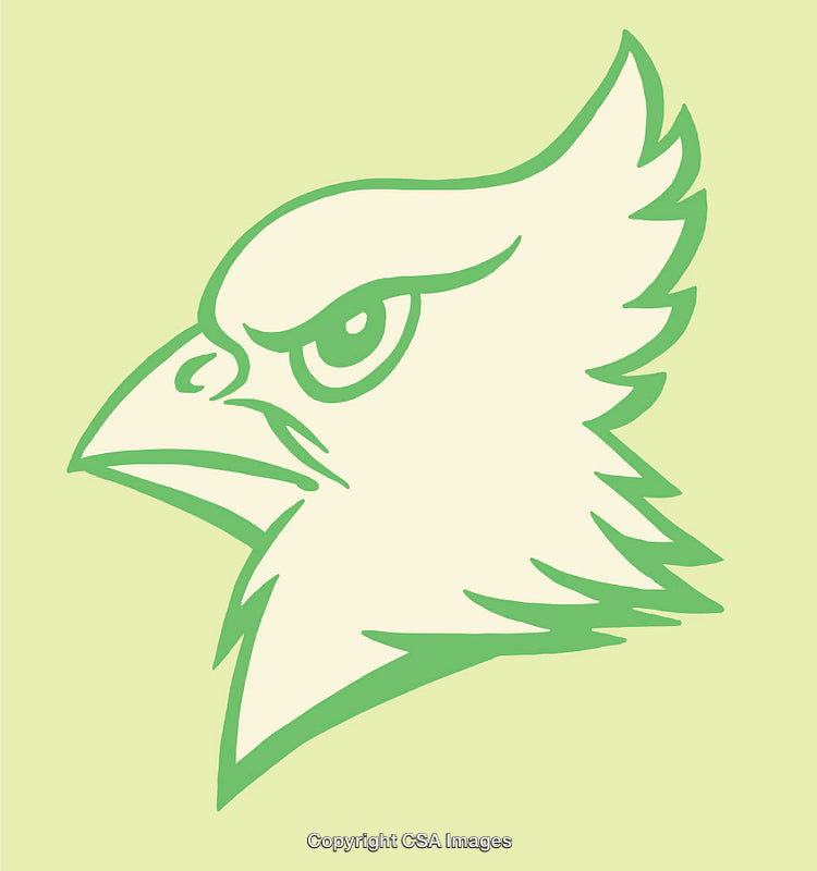 Stylized Green Hawk Head Line Art on Light Background