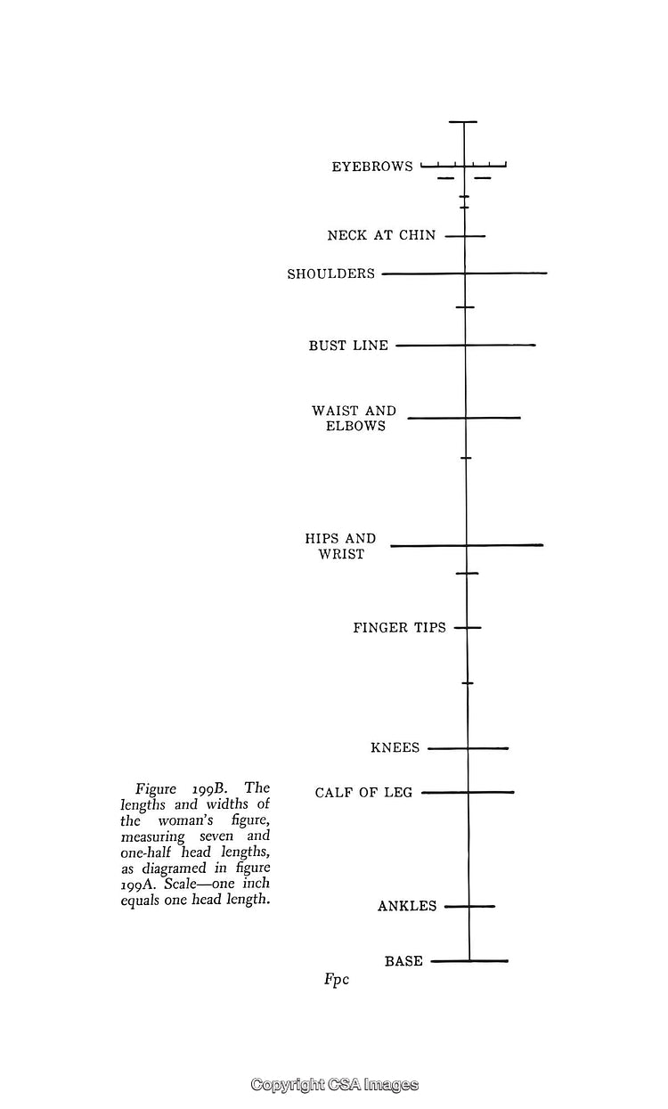 Black and White Diagram Showing Human Body Proportions and Measurements
