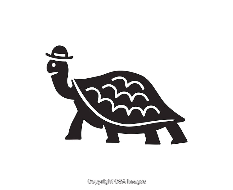 Black and White Line Art Illustration of a Turtle Wearing a Hat