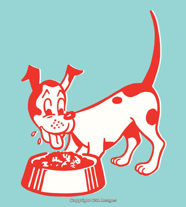Playful Dog Eating from Bowl in Retro Colorful Line Art