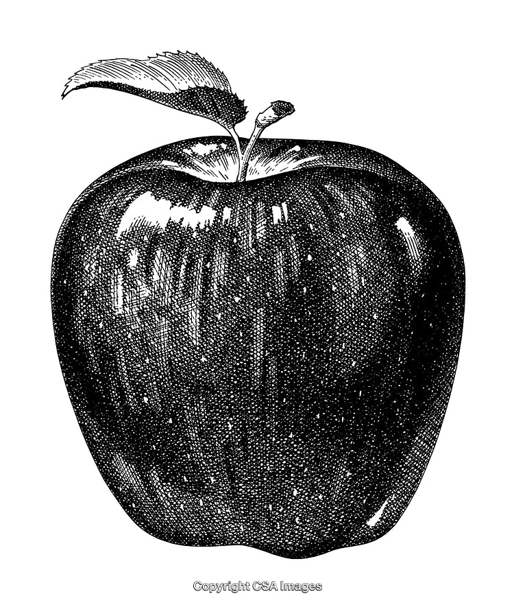 Highly Detailed Black and White Engraving of a Single Apple with Leaf