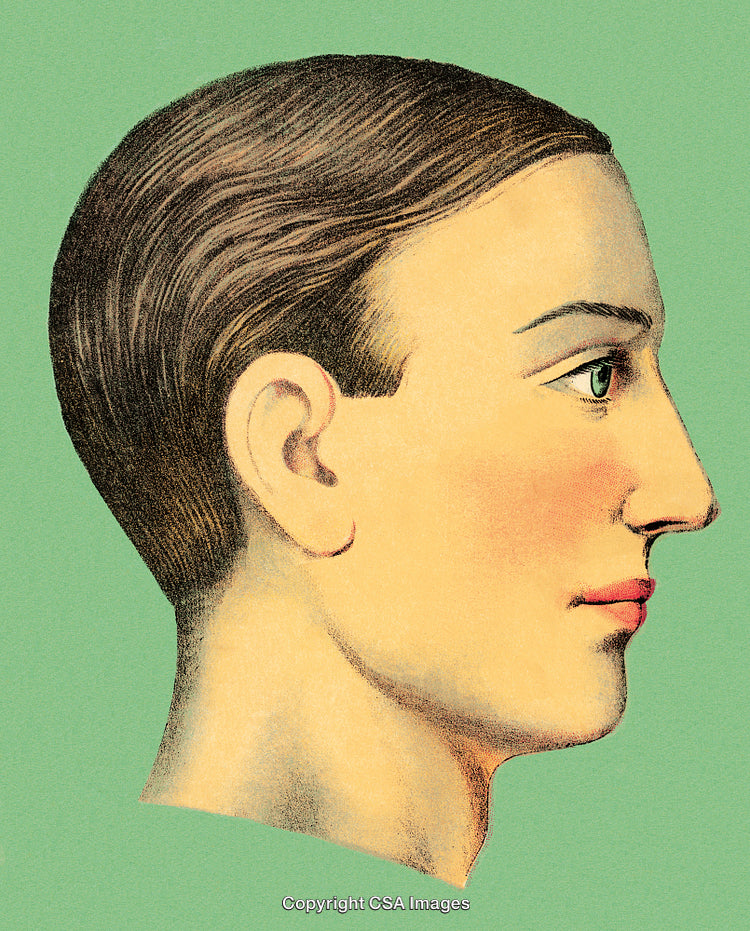 Vintage Illustration of a Woman's Profile in a Classic Art Style