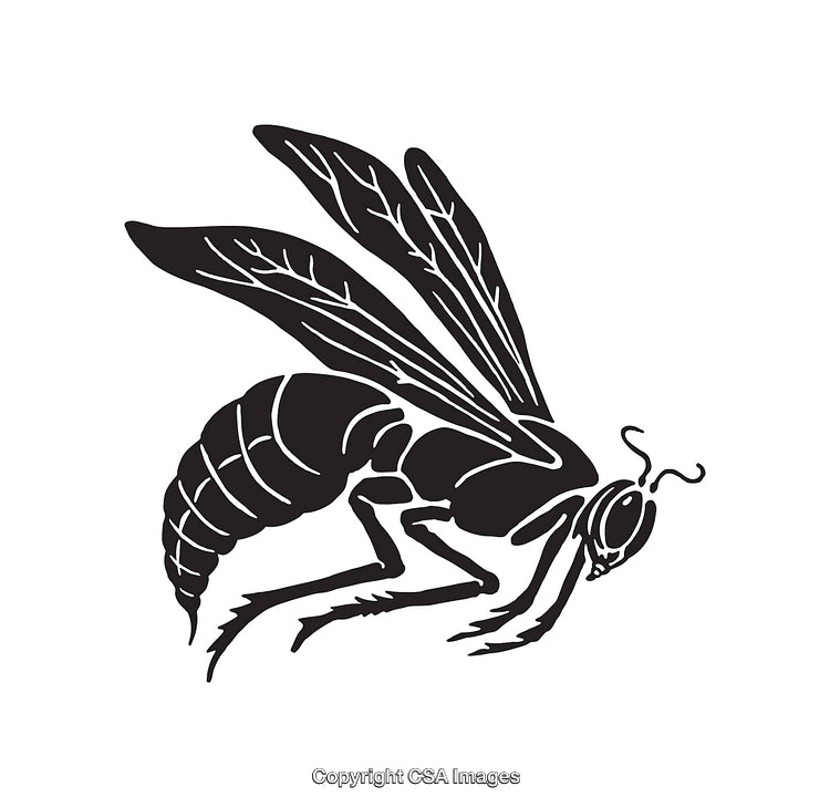 Black and White Line Art Illustration of a Flying Wasp Insect