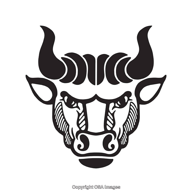 Intricate Black and White Bull Head Line Art Illustration Design