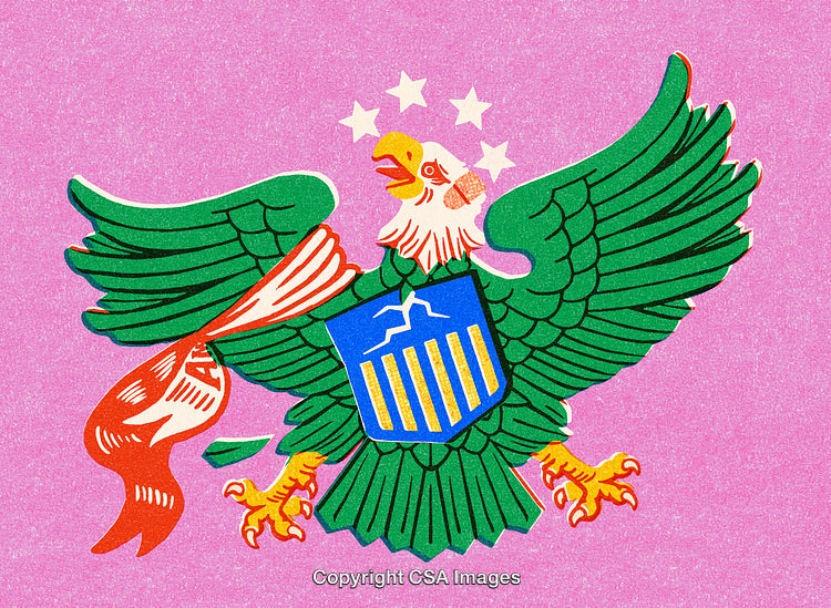 Vibrant Illustration of Bald Eagle with Heraldic Shield on Bold Pink Backdrop