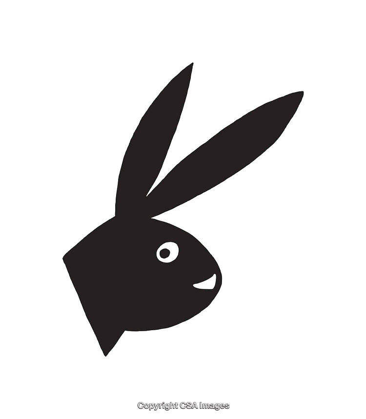 Stylized Illustration of a Bunny Head in Black and White Art