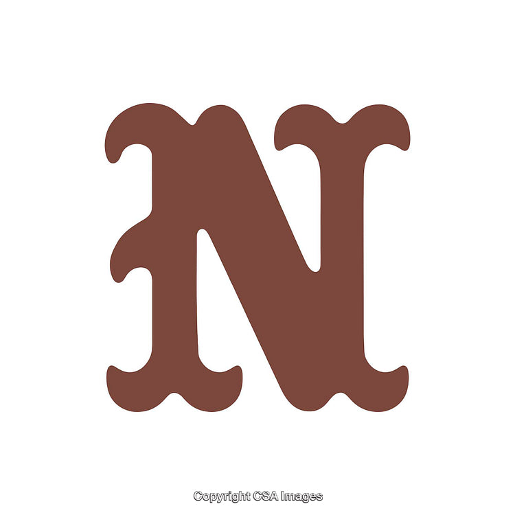 Decorative Letter N in Brown on a Simple White Background