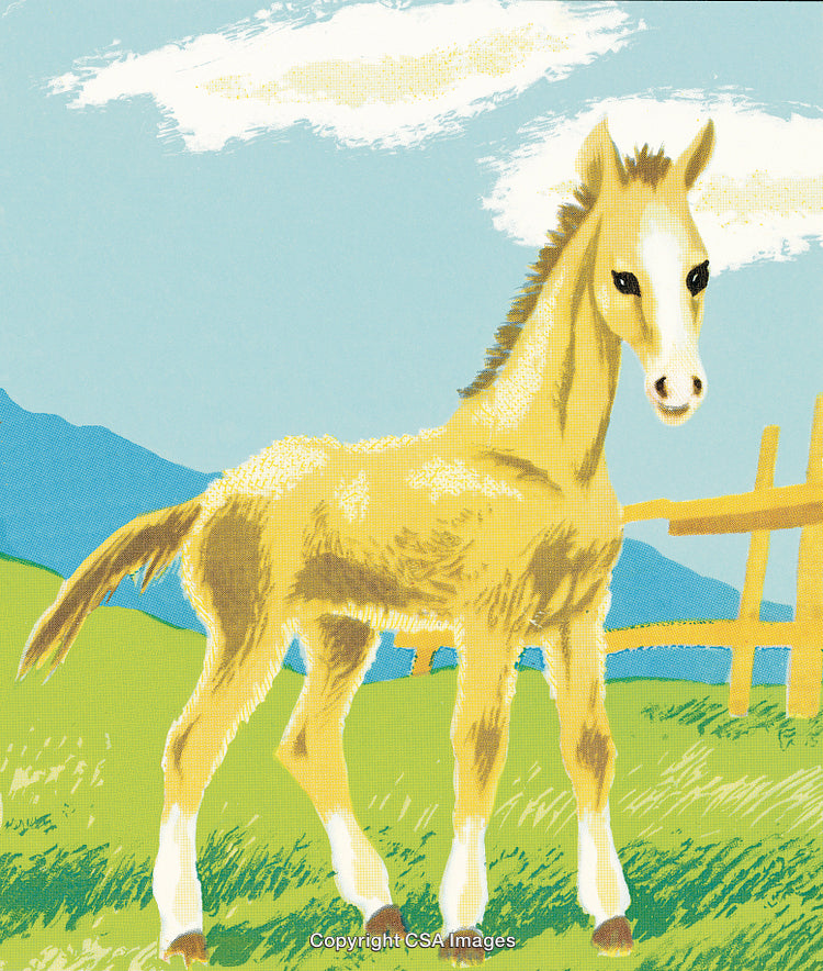 Illustrated Young Foal in a Pastoral Landscape with Fence and Blue Sky