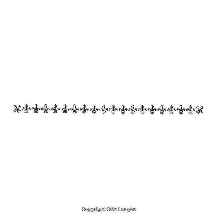 Elegant Black and White Fleur-De-Lis Border Patterned Design