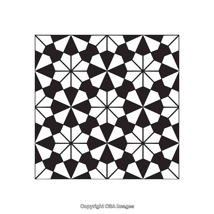 Geometric Black and White Pattern With Symmetric Floral-Like Motifs