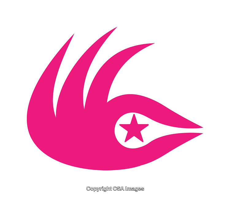 Pink Icon with a Sleek Eye Design and Star Accent Element