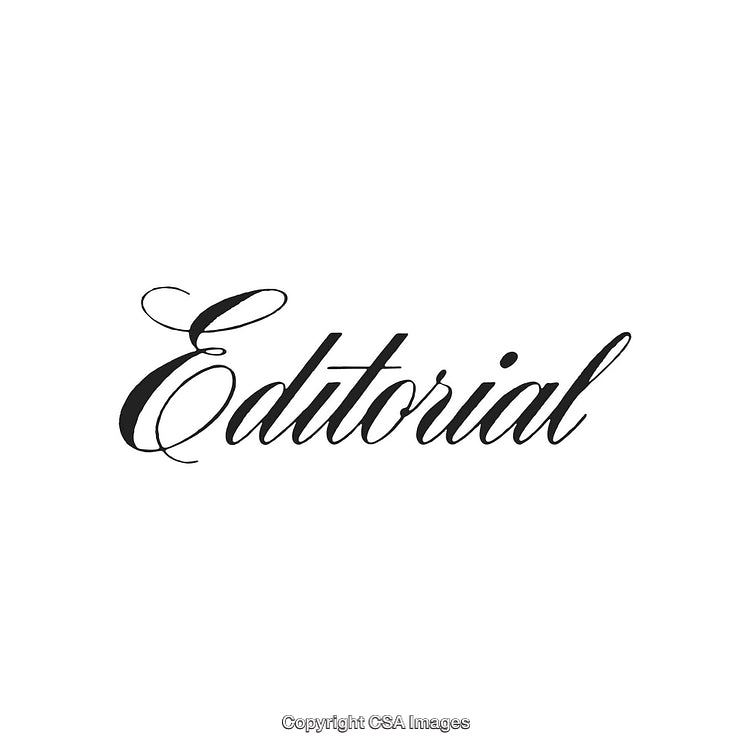 Elegant Script Editorial Word Typography on a White Background