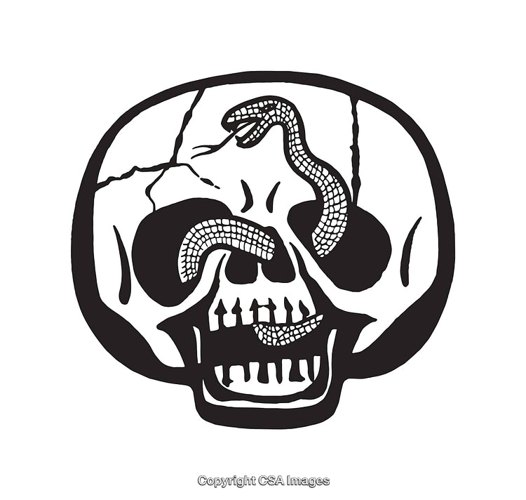 Black and White Illustration of a Skull with a Snake Design