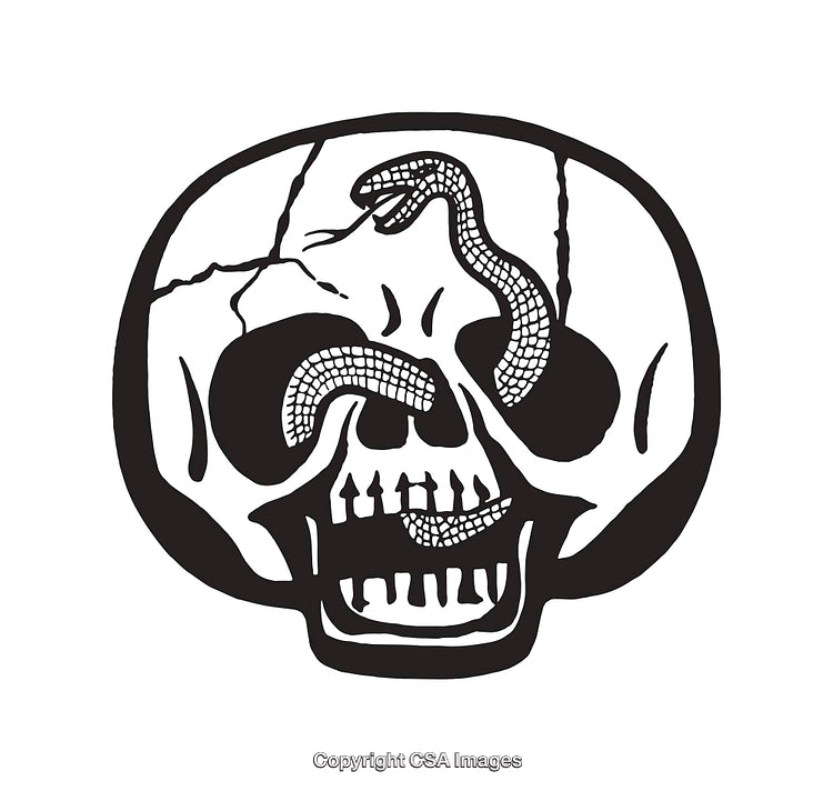 Black and White Illustration of a Skull with a Snake Design