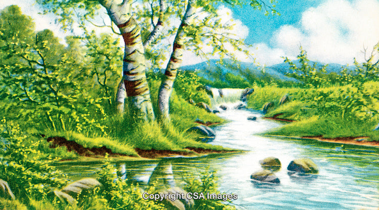 Tranquil Spring Landscape with Birches and a Flowing Stream