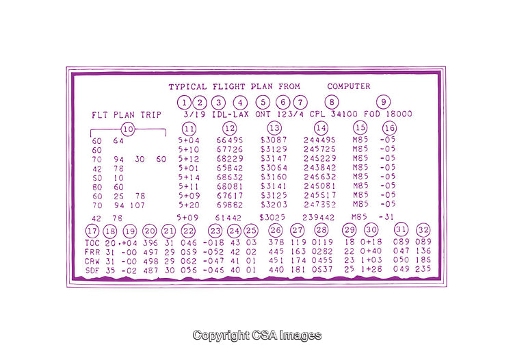 Diagram of Flight Plan Data and Computerized Information Display