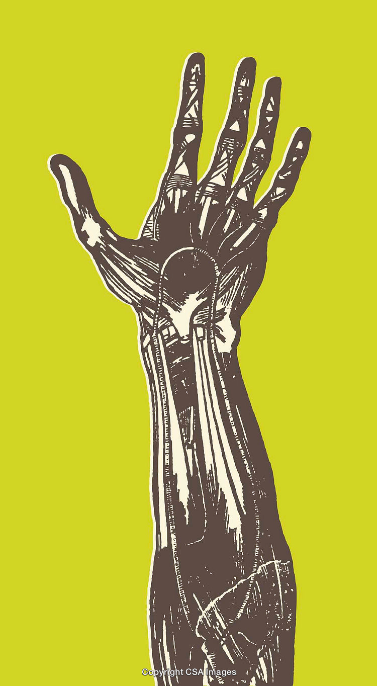 Stylized Illustration of a Hand Showing Anatomy on Green Background
