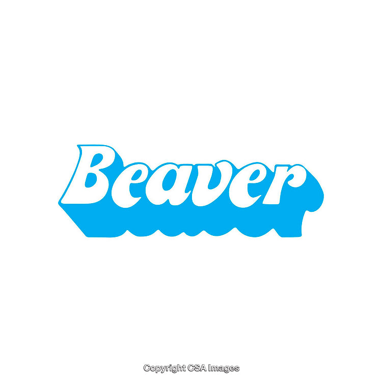 Blue Beaver Logo With Bold Text on White Background