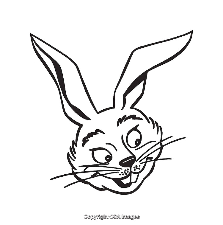 Black and White Line Drawing of Happy Rabbit Face with Expressive Features