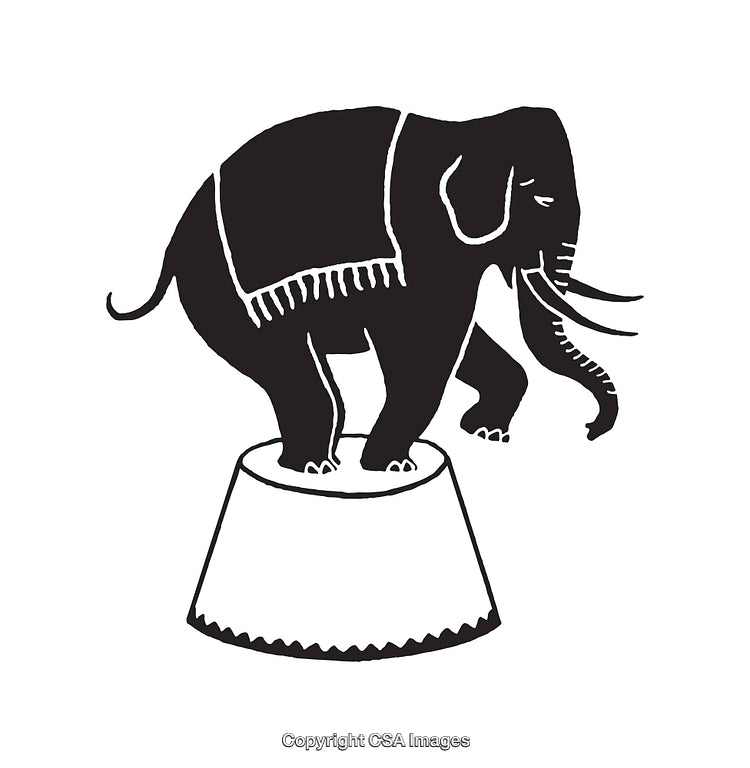 Black and White Elephant on Circus Stand Line Art Illustration