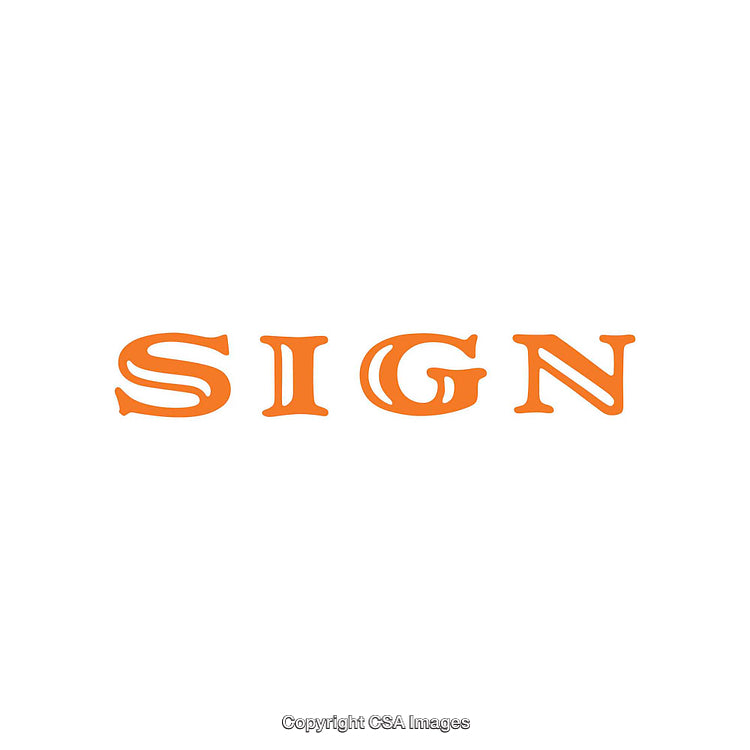 Orange Illustrated Typography of the Word Sign on a White Background