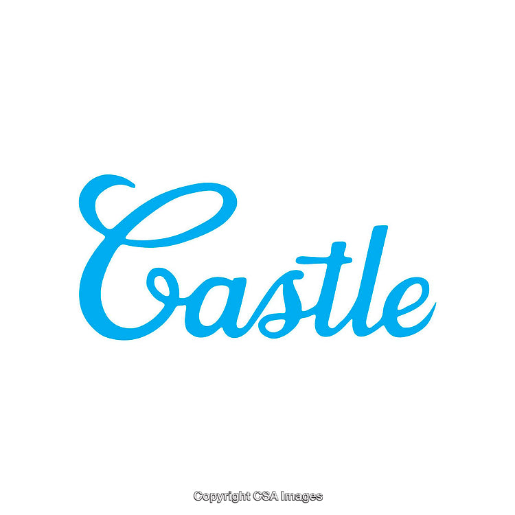 Elegant Blue Script Text Featuring the Word 'Castle' on White Background