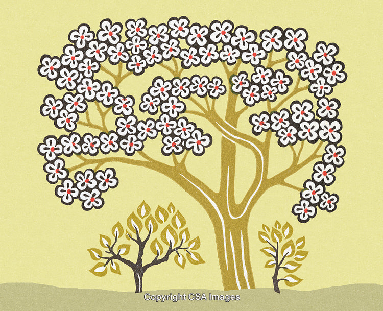 Stylized Tree Illustration with Floral Canopy and Decorative Details