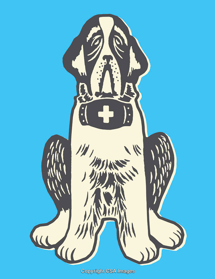 Vintage Saint Bernard Illustration with Barrel and Blue Background