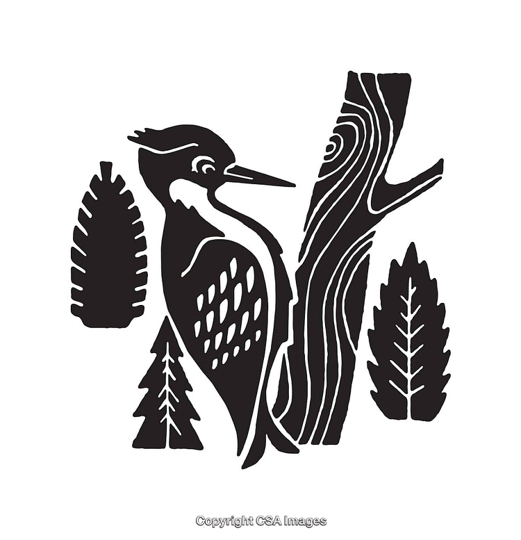 Black and White Woodpecker Line Art Illustration in Nature Scene