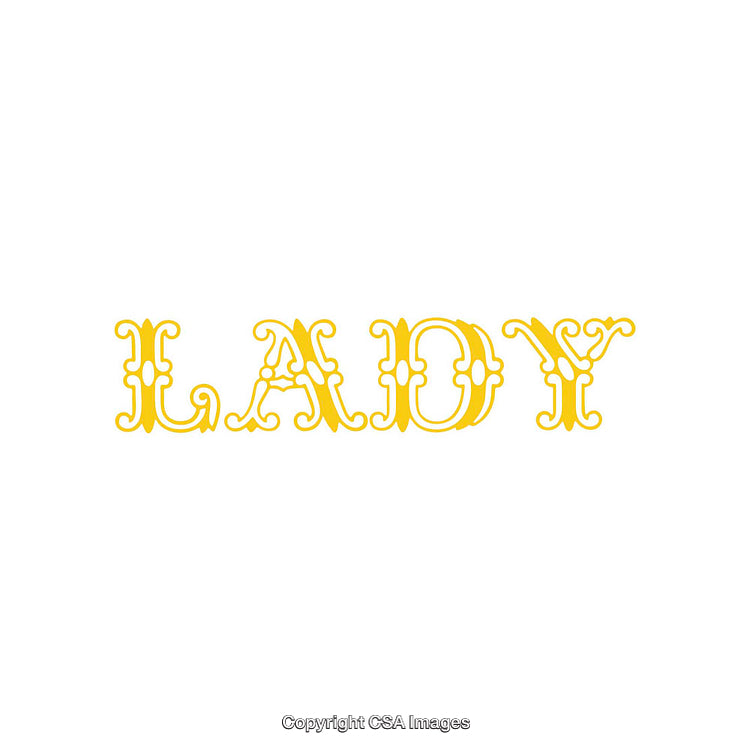 Elegant Yellow Decorative Typography Art With the Word Lady in Ornate Style