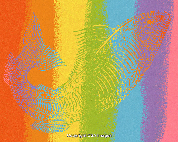 Vibrant Fish Skeleton Illustration on Colorful Rainbow Gradient Background