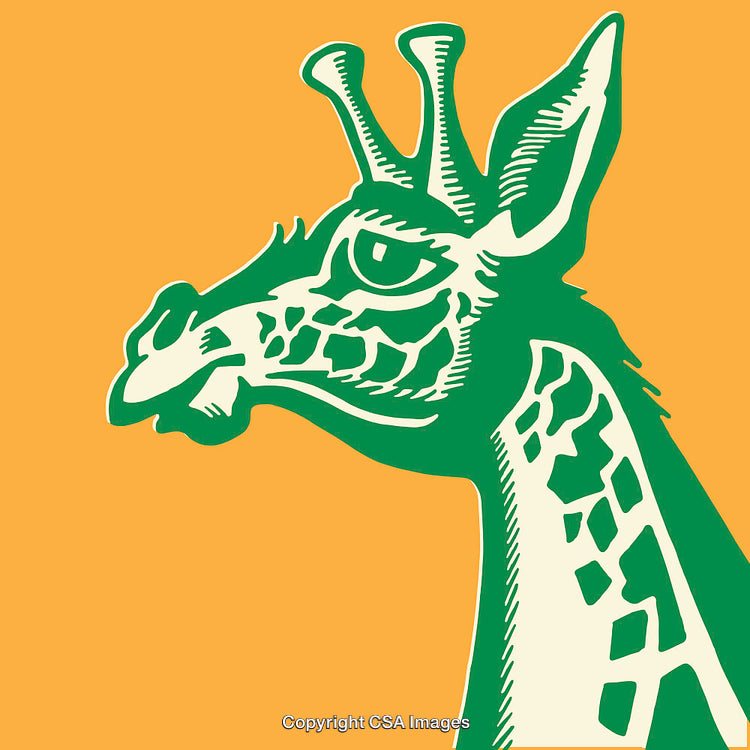 Color Line Art of a Giraffe Head in Green and Orange