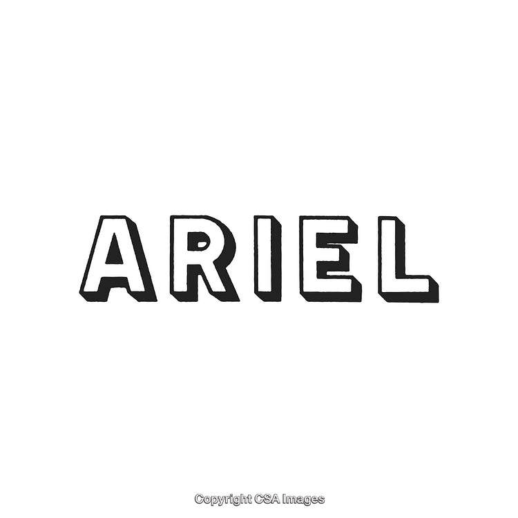 Stylized Black and White Text Design Featuring the Word 'Ariel'