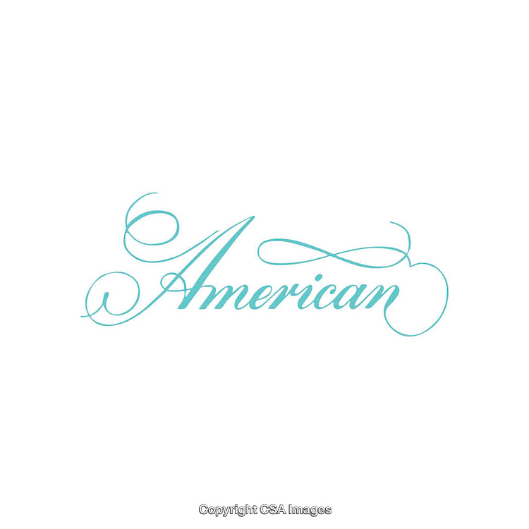 Elegant Script Typography of the Word American in Light Blue on White Background