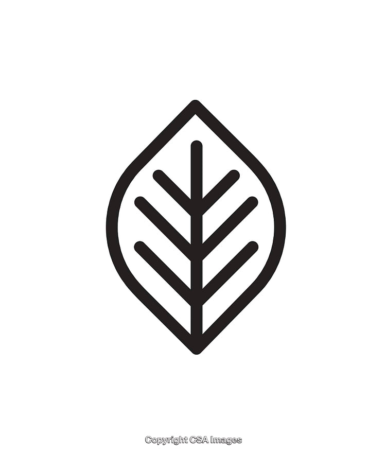 Minimalist Black and White Line Art Leaf Icon Illustration