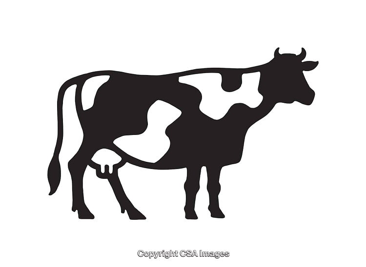Black and White Line Art Illustration of a Holstein Dairy Cow