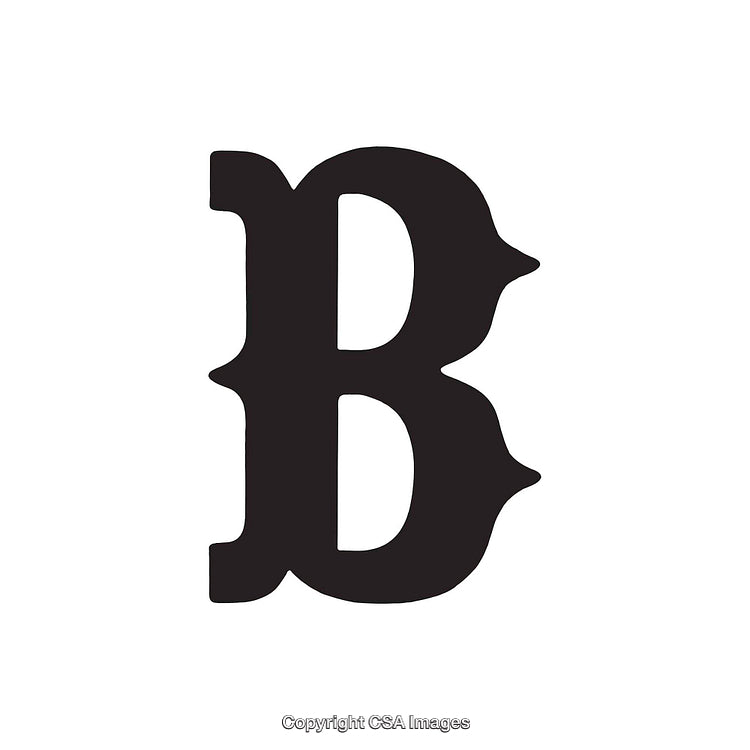 Stylized Black Letter B on a Plain White Background