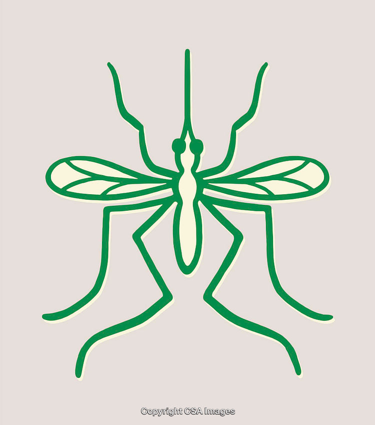 Stylized Green Mosquito Illustration on Light Gray Background