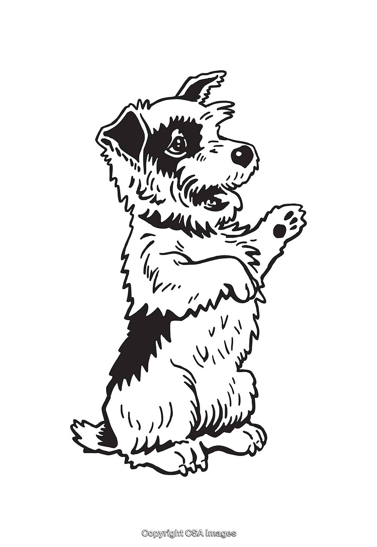 Cute Dog Illustration Standing in Playful Pose With Line Art Design