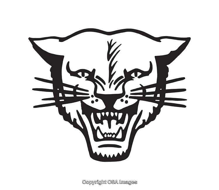 Black and White Fierce Panther Line Art Illustration on White Background