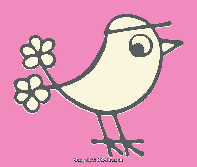 Stylized Bird Illustration with Flowers on Pink Background