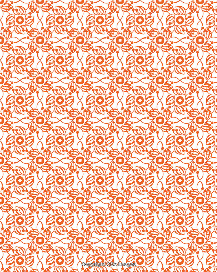 Intricate Floral Pattern with Orange Ornamentation on White Background
